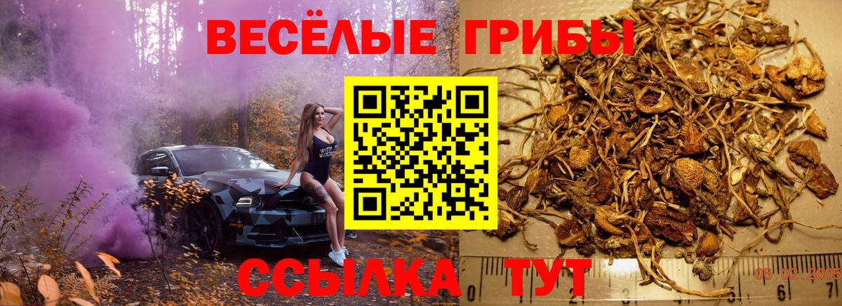 Псилоцибиновые грибы MAGIC MUSHROOMS Брянск